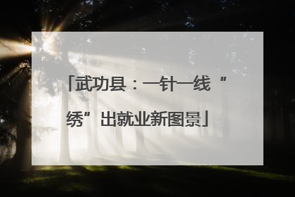 武功县：一针一线“绣”出就业新图景