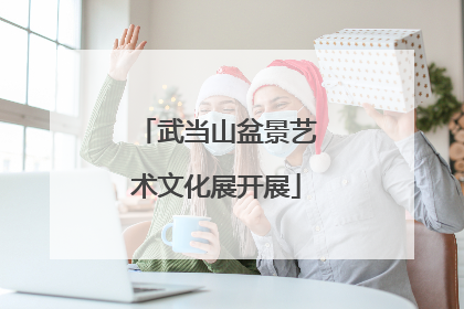 武当山盆景艺术文化展开展