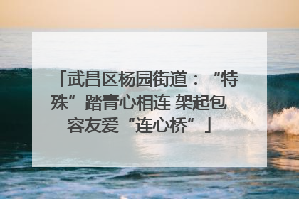 武昌区杨园街道：“特殊”踏青心相连 架起包容友爱“连心桥”