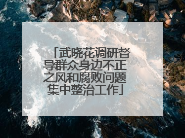 武晓花调研督导群众身边不正之风和腐败问题集中整治工作