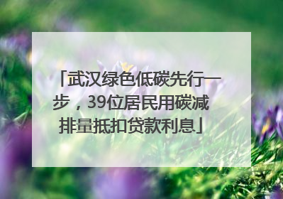 武汉绿色低碳先行一步，39位居民用碳减排量抵扣贷款利息