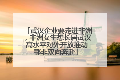 武汉企业要走进非洲，非洲女生想长居武汉 高水平对外开放推动鄂非双向奔赴