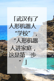 武汉有了人形机器人“学校”，“人形机器人进家庭，这是第一步”