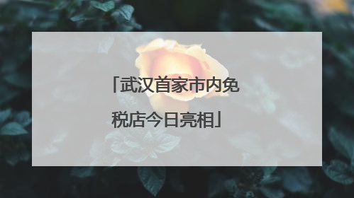 武汉首家市内免税店今日亮相