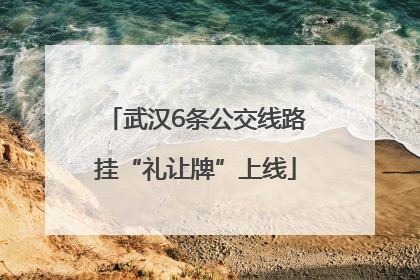 武汉6条公交线路挂“礼让牌”上线