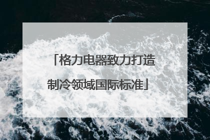 格力电器致力打造制冷领域国际标准