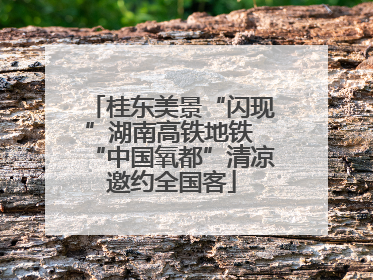 桂东美景“闪现”湖南高铁地铁 “中国氧都”清凉邀约全国客