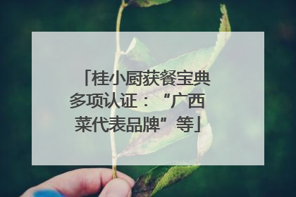 桂小厨获餐宝典多项认证：“广西菜代表品牌”等