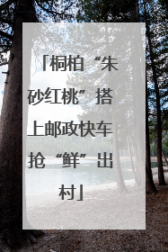 桐柏“朱砂红桃”搭上邮政快车抢“鲜”出村