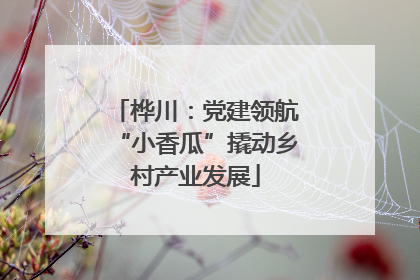 桦川：党建领航“小香瓜”撬动乡村产业发展