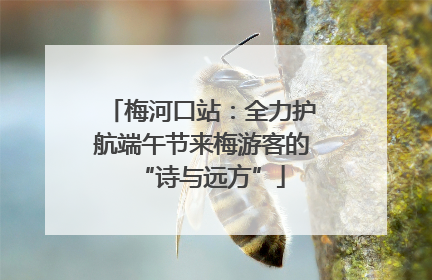 梅河口站：全力护航端午节来梅游客的“诗与远方”