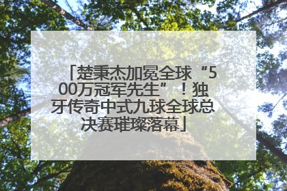 楚秉杰加冕全球“500万冠军先生”！独牙传奇中式九球全球总决赛璀璨落幕