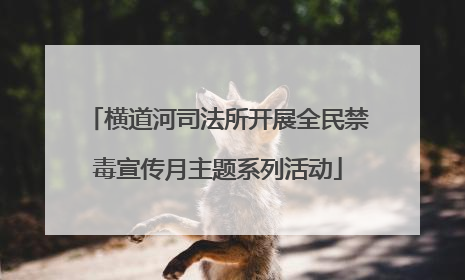 横道河司法所开展全民禁毒宣传月主题系列活动