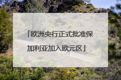 欧洲央行正式批准保加利亚加入欧元区