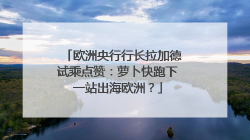 欧洲央行行长拉加德试乘点赞：萝卜快跑下一站出海欧洲？