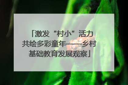 激发“村小”活力 共绘多彩童年——乡村基础教育发展观察