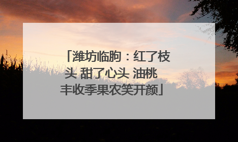 潍坊临朐：红了枝头 甜了心头 油桃丰收季果农笑开颜