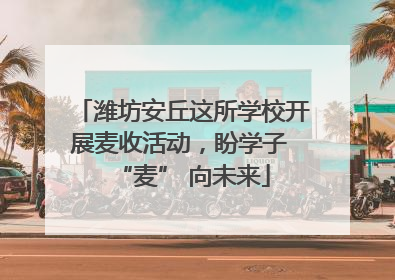 潍坊安丘这所学校开展麦收活动，盼学子 “麦” 向未来