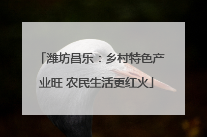 潍坊昌乐：乡村特色产业旺 农民生活更红火