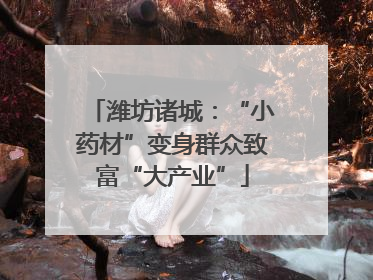 潍坊诸城：“小药材”变身群众致富“大产业”