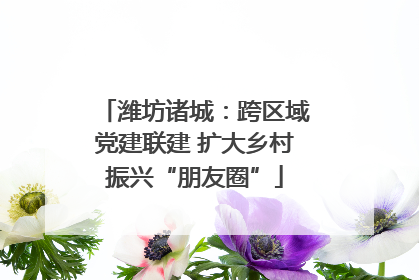 潍坊诸城：跨区域党建联建 扩大乡村振兴“朋友圈”