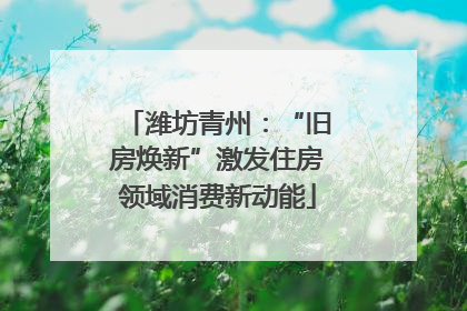 潍坊青州：“旧房焕新”激发住房领域消费新动能