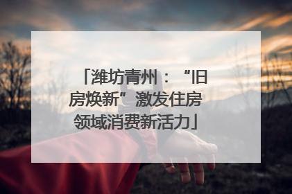 潍坊青州：“旧房焕新”激发住房领域消费新活力
