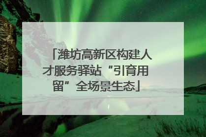 潍坊高新区构建人才服务驿站“引育用留”全场景生态