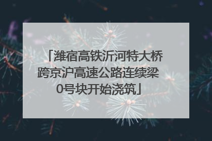 潍宿高铁沂河特大桥跨京沪高速公路连续梁0号块开始浇筑