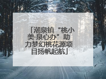 潮泉镇“桃小美·泉心办”助力梦幻桃花源项目扬帆起航