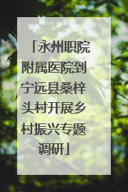 永州职院附属医院到宁远县桑梓头村开展乡村振兴专题调研