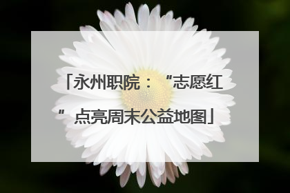 永州职院：“志愿红”点亮周末公益地图