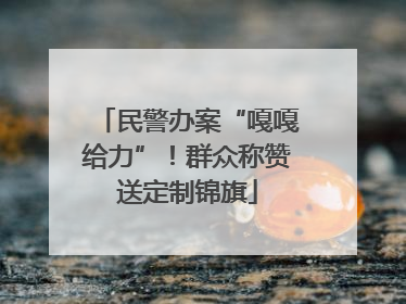 民警办案“嘎嘎给力”！群众称赞送定制锦旗