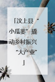 汶上县“小瓜蒌”撬动乡村振兴“大产业”