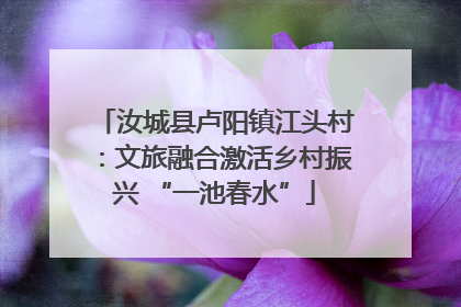 汝城县卢阳镇江头村：文旅融合激活乡村振兴 “一池春水”