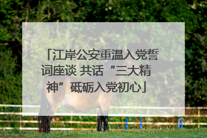 江岸公安重温入党誓词座谈 共话“三大精神”砥砺入党初心