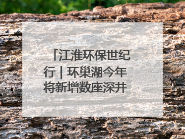 江淮环保世纪行｜环巢湖今年将新增数座深井控藻平台