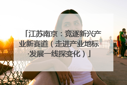 江苏南京：竞逐新兴产业新赛道（走进产业地标·发展一线探变化）
