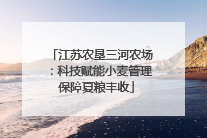 江苏农垦三河农场：科技赋能小麦管理保障夏粮丰收