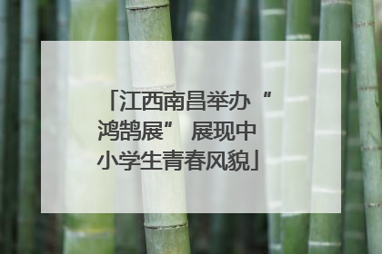江西南昌举办“鸿鹄展” 展现中小学生青春风貌