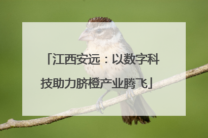 江西安远：以数字科技助力脐橙产业腾飞
