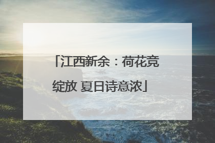 江西新余：荷花竞绽放 夏日诗意浓