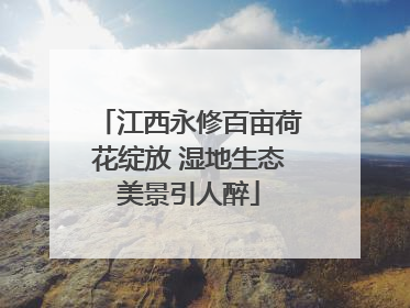 江西永修百亩荷花绽放 湿地生态美景引人醉