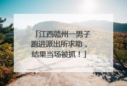 江西赣州一男子跑进派出所求助，结果当场被抓！