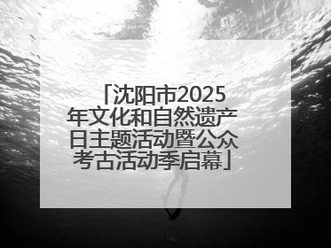 沈阳市2025年文化和自然遗产日主题活动暨公众考古活动季启幕