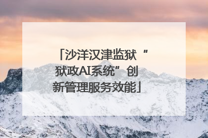 沙洋汉津监狱“狱政AI系统”创新管理服务效能