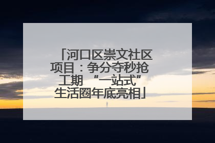 河口区崇文社区项目：争分夺秒抢工期 “一站式”生活圈年底亮相