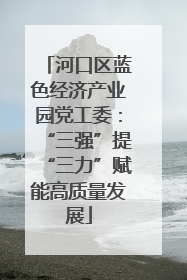 河口区蓝色经济产业园党工委：“三强”提“三力”赋能高质量发展