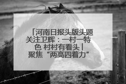 河南日报头版头题关注卫辉：一村一特色 村村有看头 ︳聚焦“两高四着力”·一“县”观察