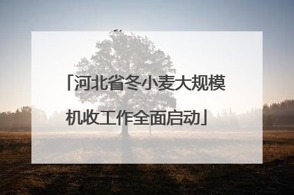 河北省冬小麦大规模机收工作全面启动